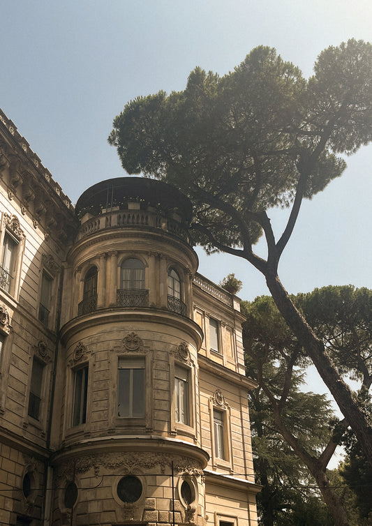 Fine art print of the “Passeggiata del Gianicolo” in Rome, capturing a sun-dappled walkway lined with towering pines and historic charm. Overlooking the Eternal City, this serene image blends Roman grandeur with tranquil beauty—perfect for timeless, travel-inspired, or classical interiors.